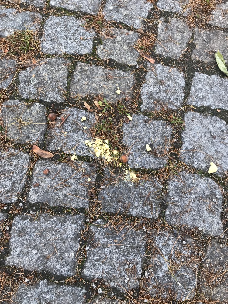 Giftköder-Komisches Pulver-Profilbild