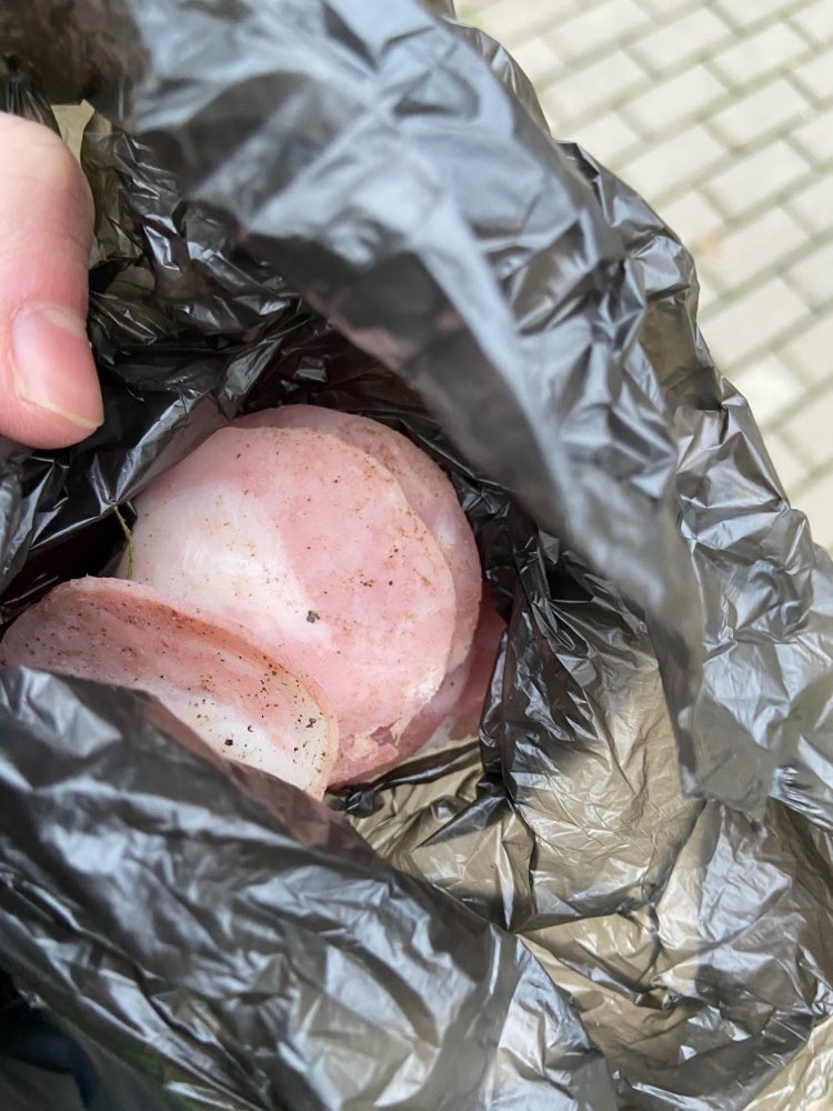 Giftköder-Wurst verteilt-Profilbild