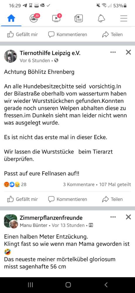 Giftköder-Wurststückchen-Profilbild