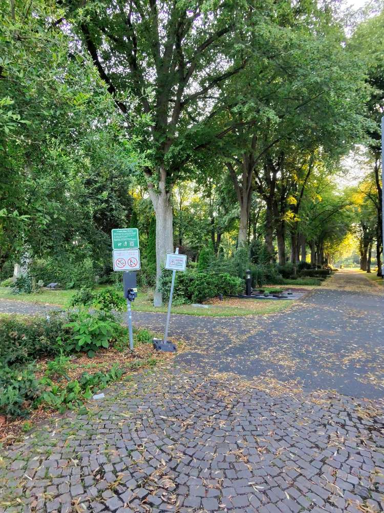Giftköder-Eichenprozessionsspinner PB Westfriedhof-Profilbild