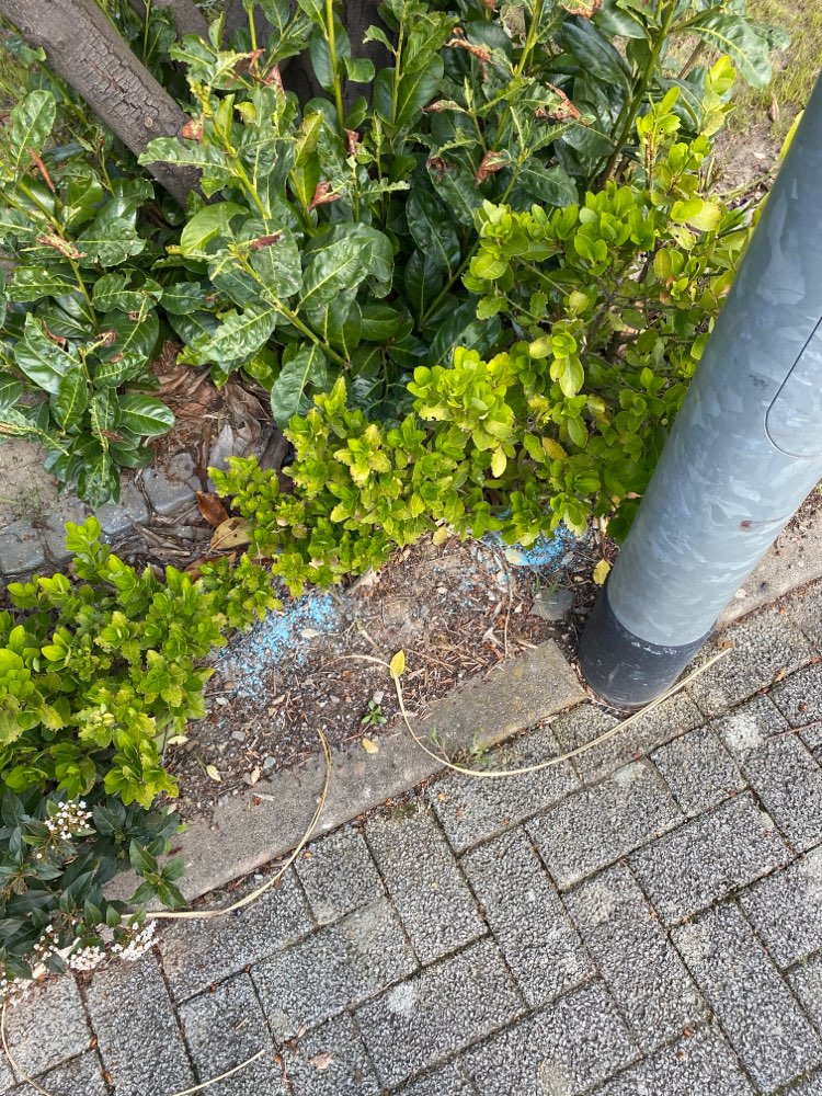 Giftköder-Schneckenkorn/Blaukorn-Profilbild