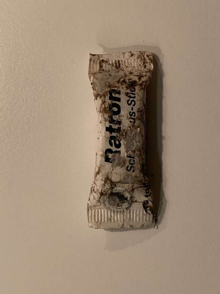 Giftköder-Gift-Profilbild