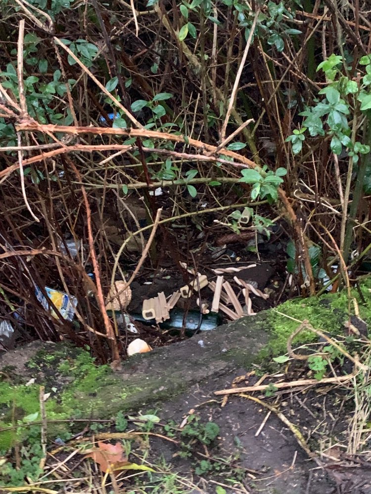 Giftköder-Ausgelegte Kaustangen und Co.-Profilbild