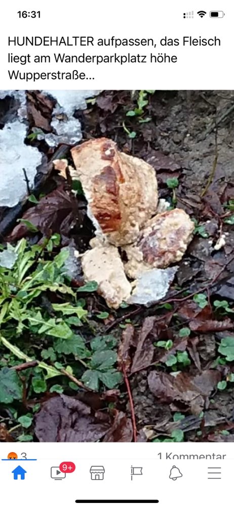 Giftköder-Giftköder?-Profilbild