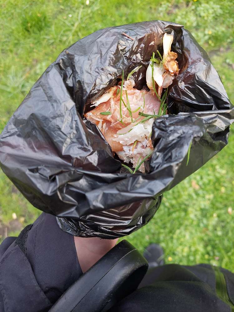 Giftköder-Ausgelegte Lebensmittel-Profilbild