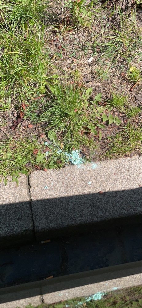 Giftköder-Gift ausgestreut [?] türkisfarbenes Korn-Profilbild