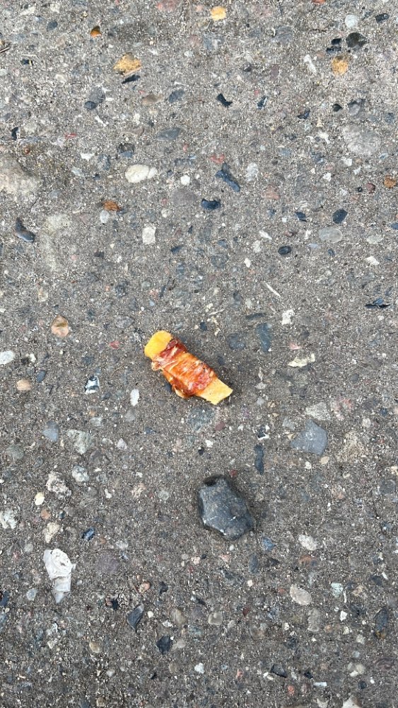 Giftköder-Evtl. Giftköder-Profilbild