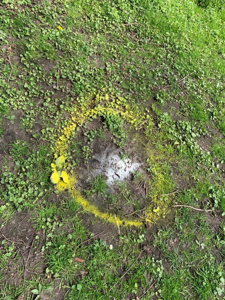 Giftköder-Weißes Pulver aufpassen!!-Profilbild