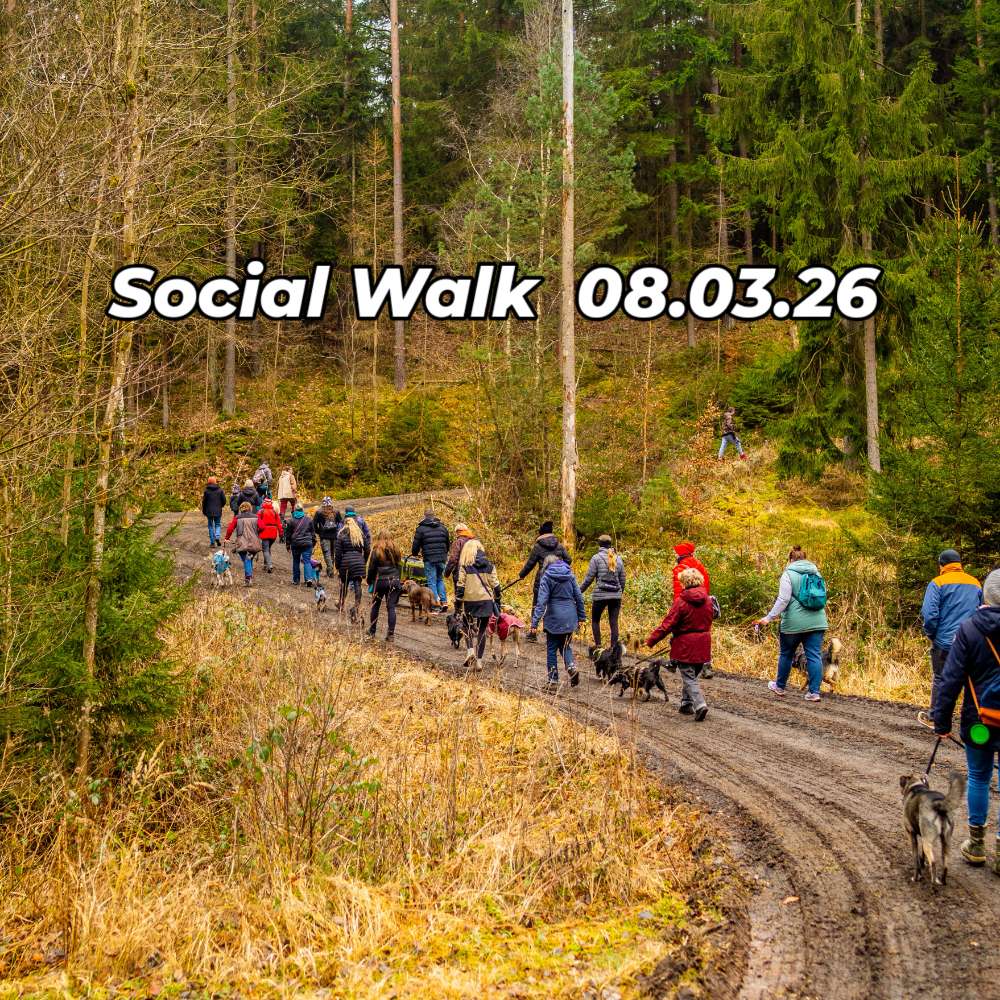 Hundetreffen-Social-Walk 08.03.26-Profilbild