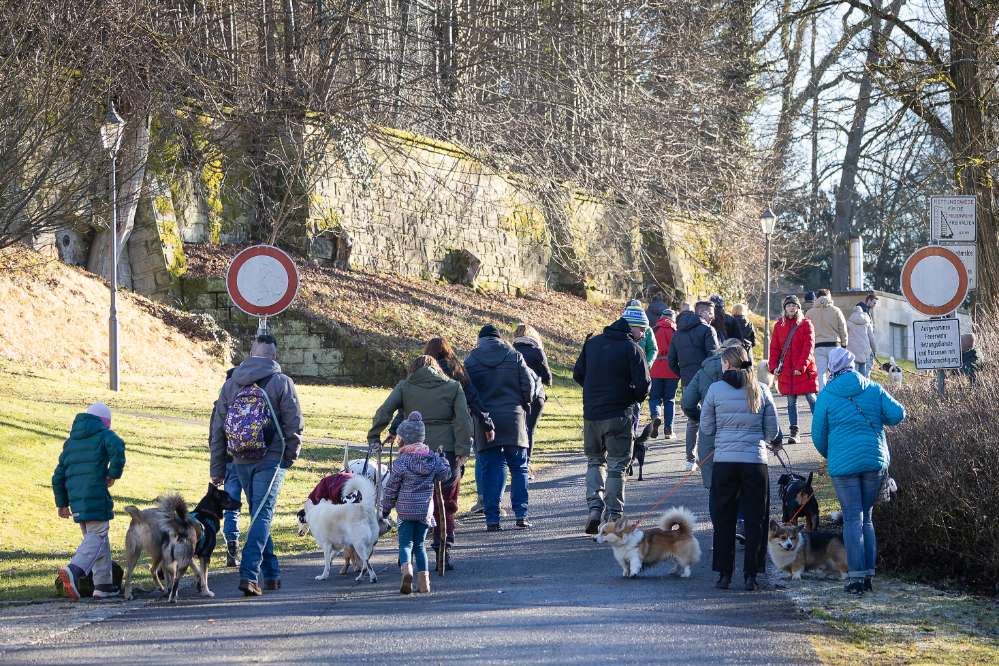 Hundetreffen-Social Walk 20.09.26-Profilbild