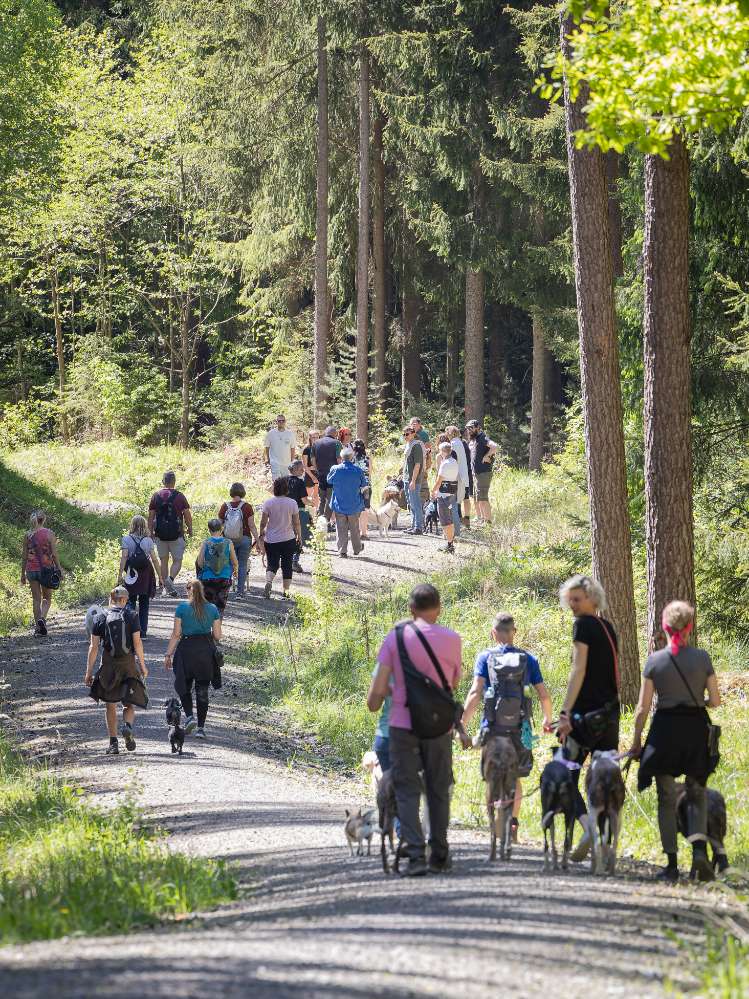Hundetreffen-Social Walk 30.05.26 Oberwohlsbach-Profilbild
