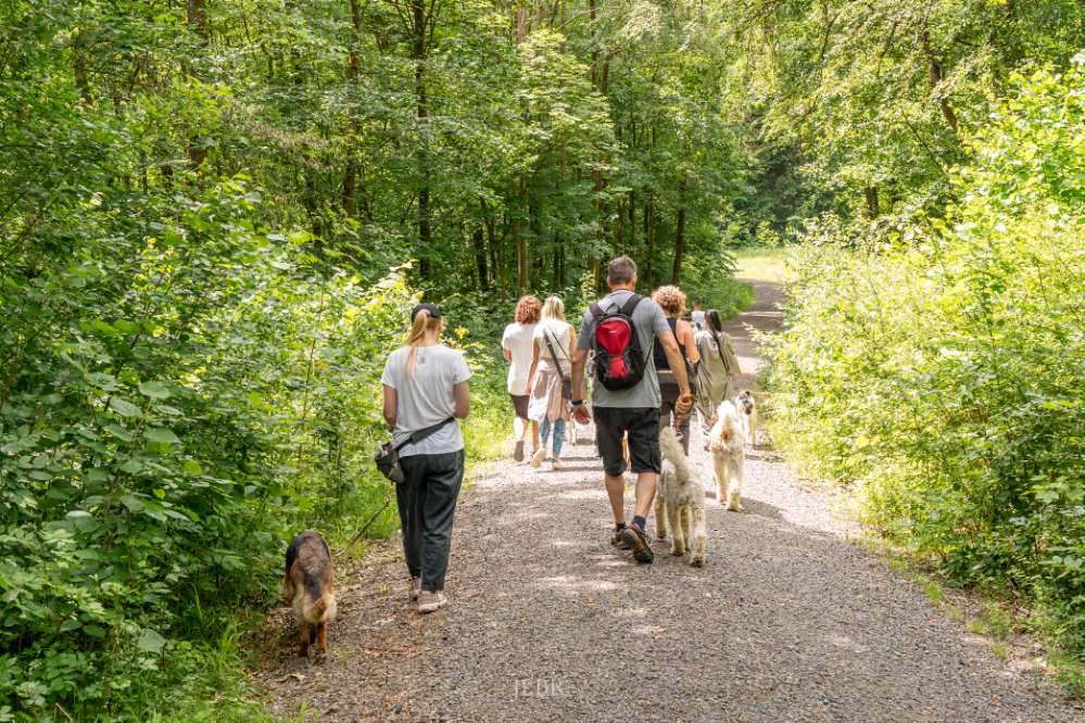 Hundetreffen-Social Walk 28.06.26-Profilbild