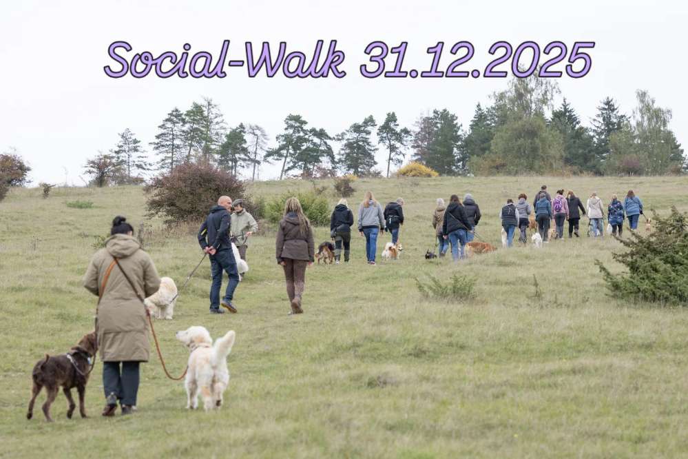 Hundetreffen-Social Walk Silvester-Profilbild