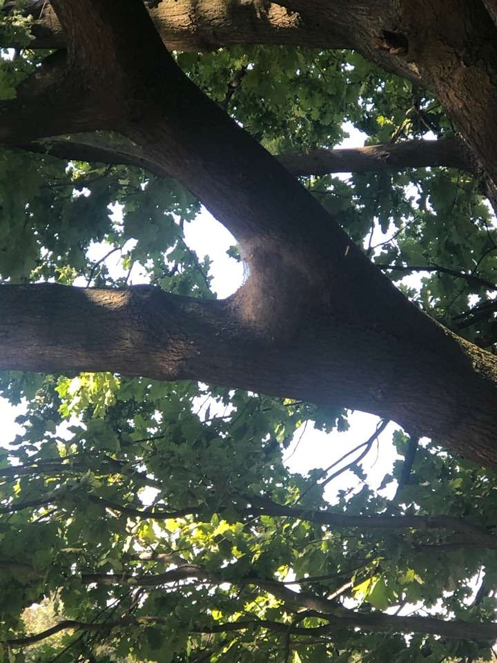 Giftköder-EPS-Profilbild