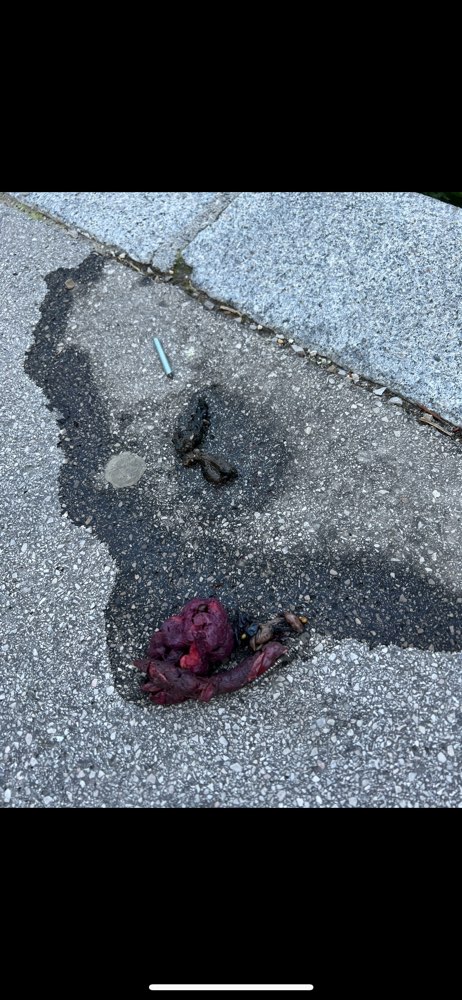 Giftköder-Giftköder/Nägel-Profilbild