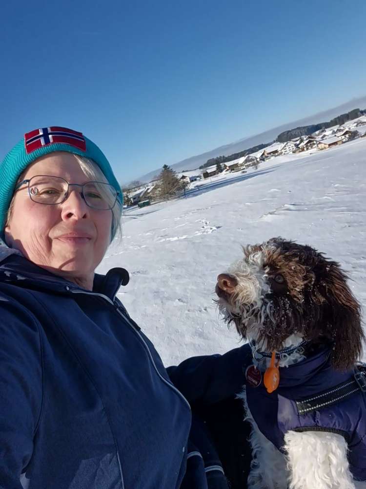 Hundetreffen-Spazieren, Spaß,Spiel,Kommunikation-Profilbild