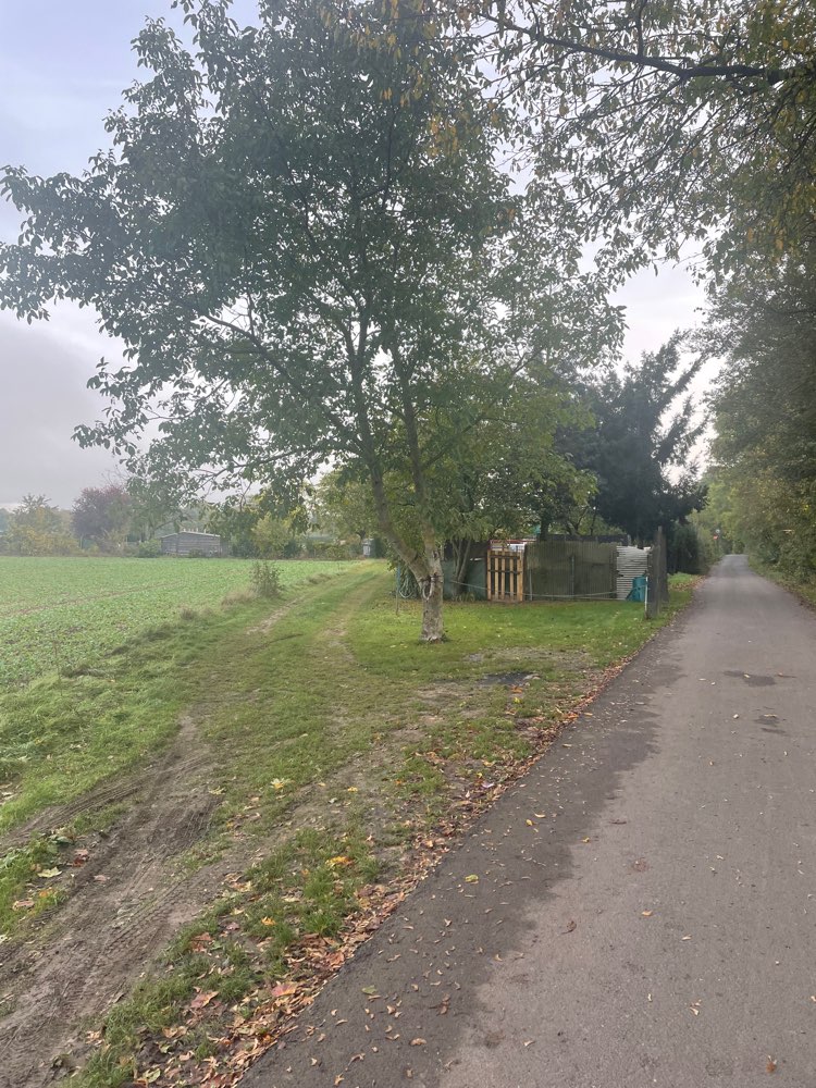 Giftköder-Giftköder-Profilbild