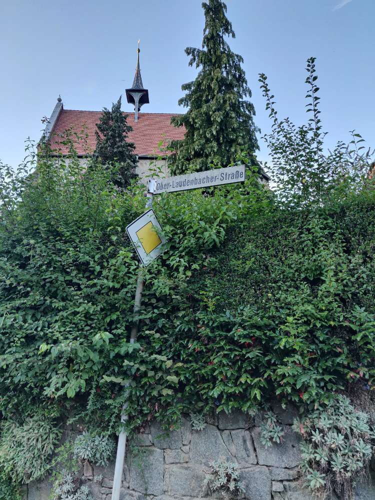 Giftköder-Giftköder-Profilbild