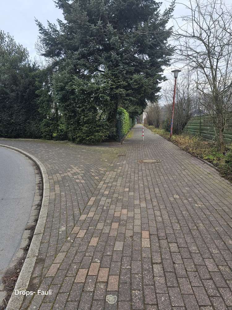 Giftköder-Verdacht auf Modernes Rattengift-Profilbild