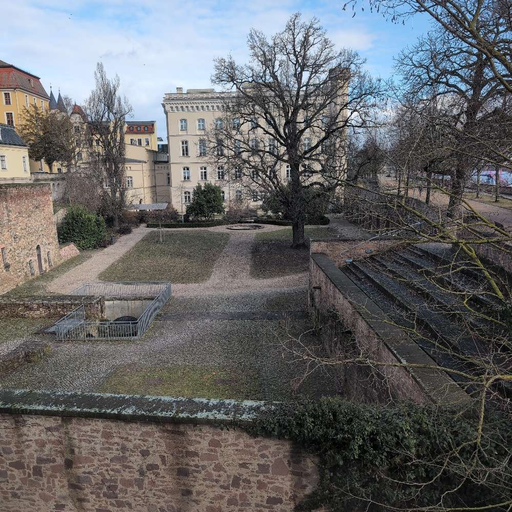 Hundetreffen-Spielrunde Fürstenwall-Profilbild