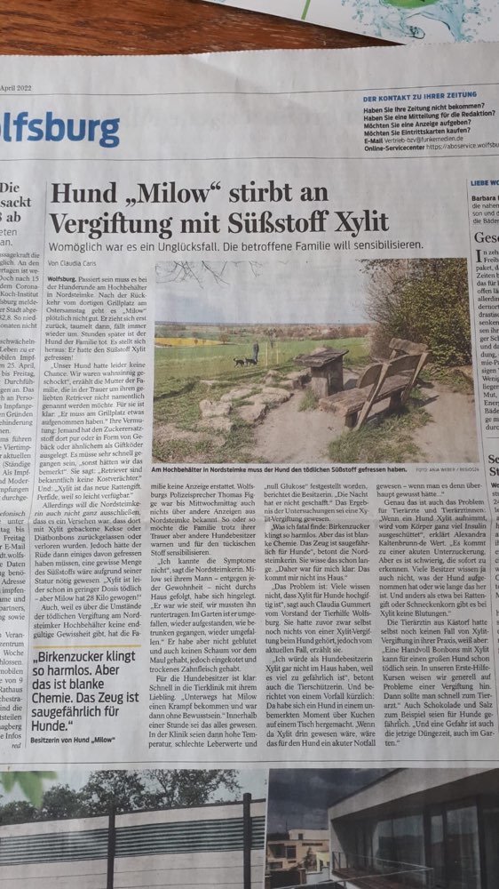 Giftköder-Giftköder-Profilbild