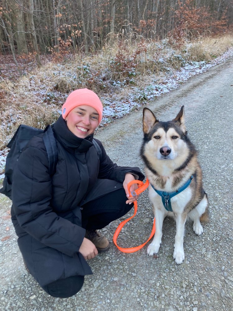 Hundetreffen-Gassi gehen (angeleint)-Profilbild