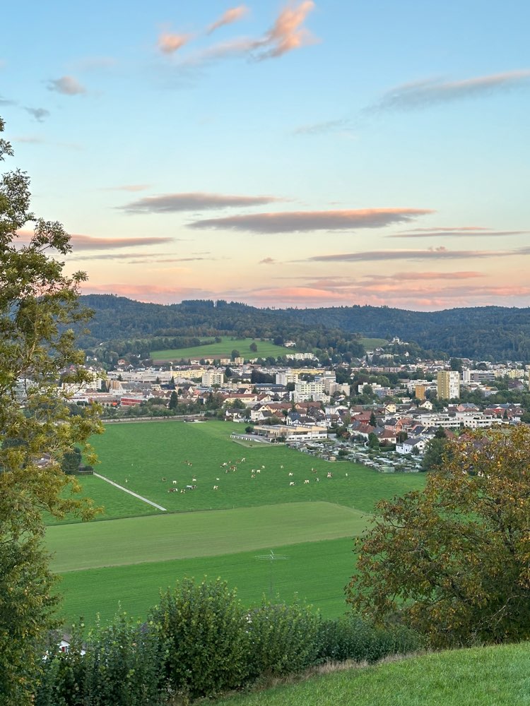 Hundetreffen-Hundetreff Zofingen-Profilbild