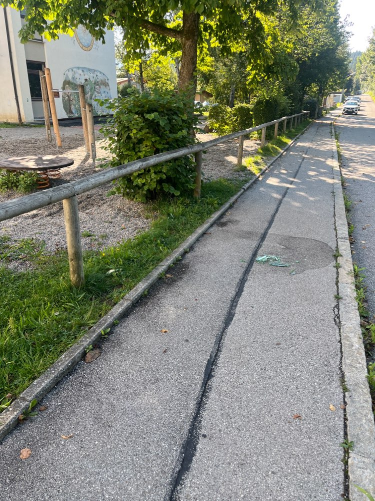 Giftköder-Glassplitter am Gehweg-Profilbild