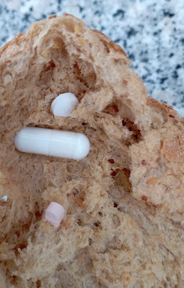 Giftköder-Giftköder-Profilbild