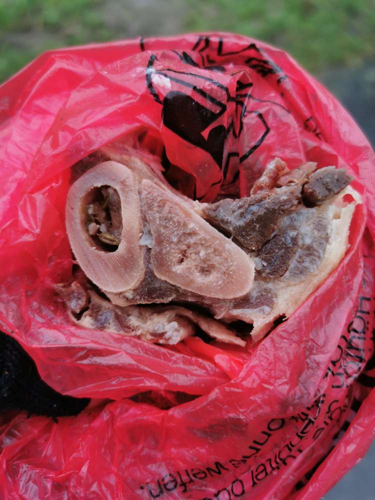 Giftköder-Rohes Fleisch im Gebüsch-Profilbild