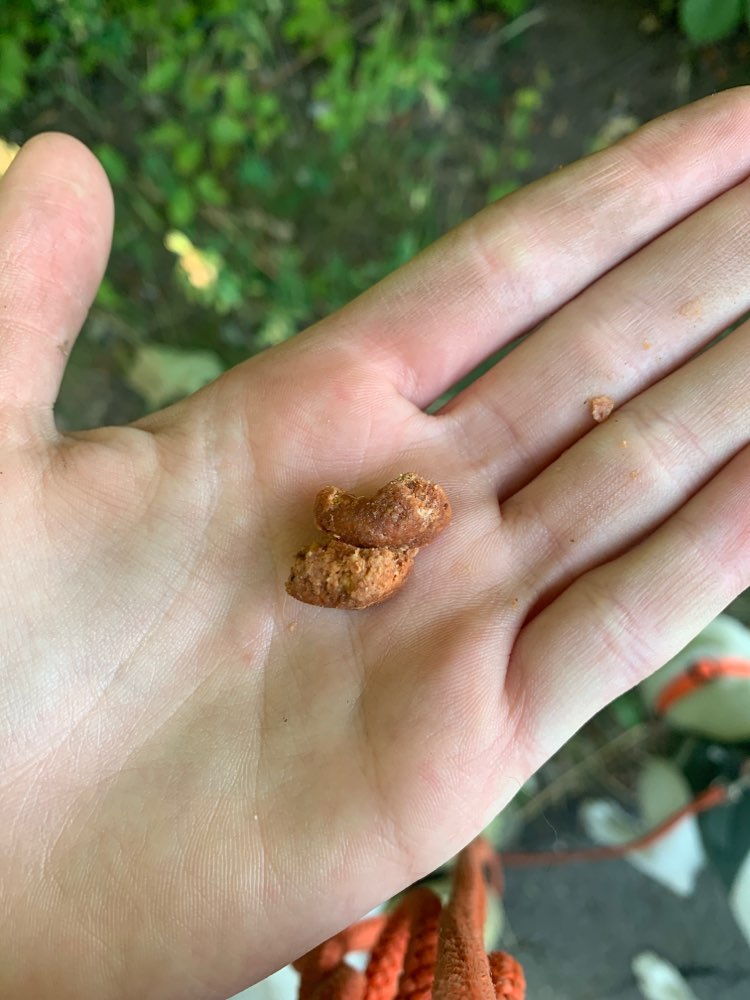 Giftköder-Evtl giftköder-Profilbild