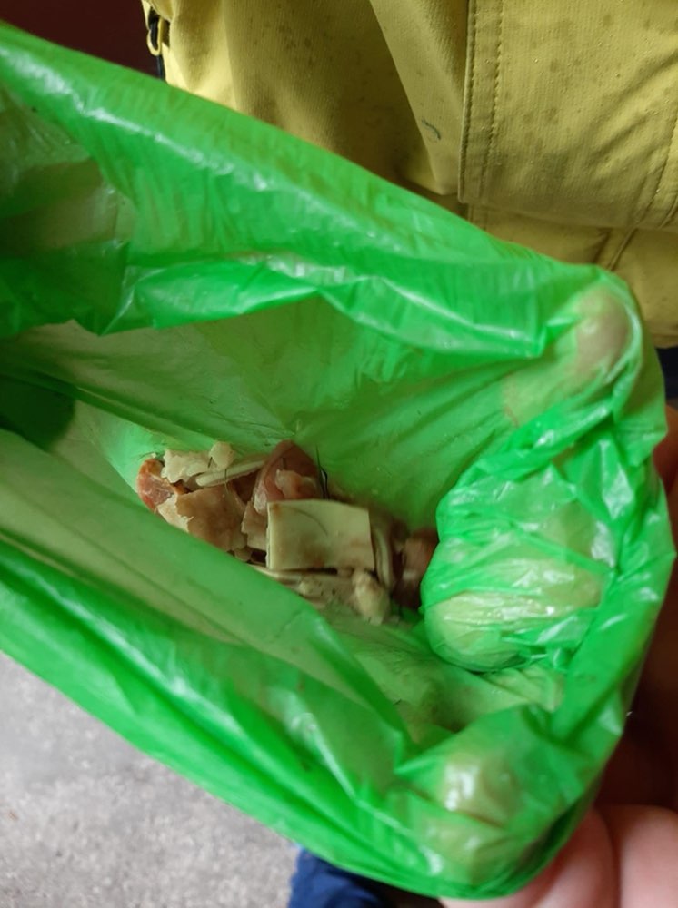 Giftköder-Ausgelegtes Fleisch-Profilbild