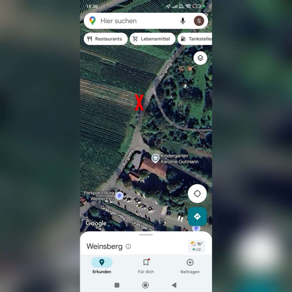 Giftköder-Giftfalle-Profilbild