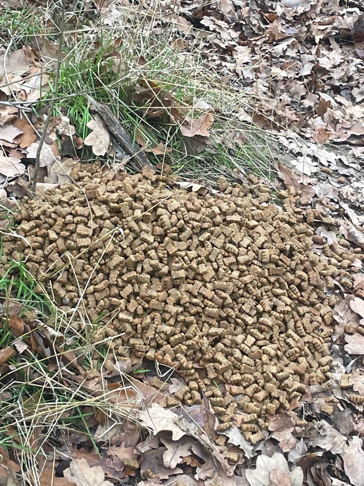 Giftköder-Großer Futterhaufen-Profilbild