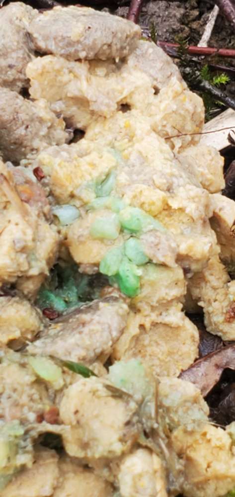 Giftköder-Möglicher Giftköder-Profilbild