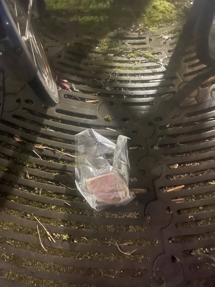 Giftköder-⚠️ Giftköder-Verdacht am Gutenbergplatz-Profilbild