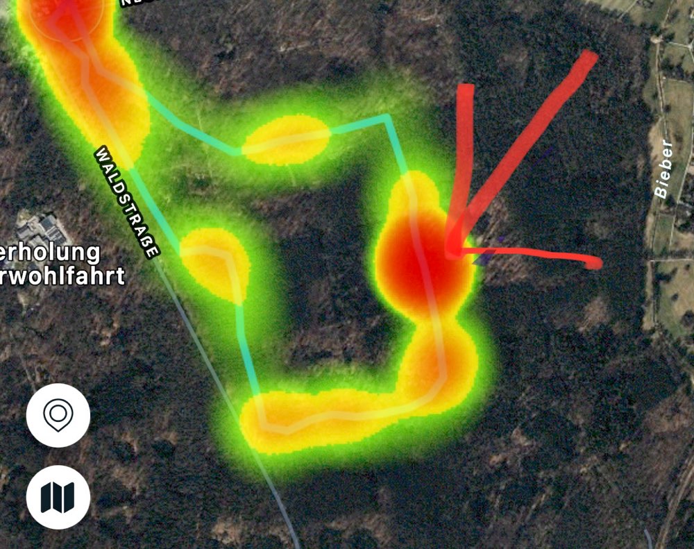 Giftköder-Toter Waschbär-Profilbild