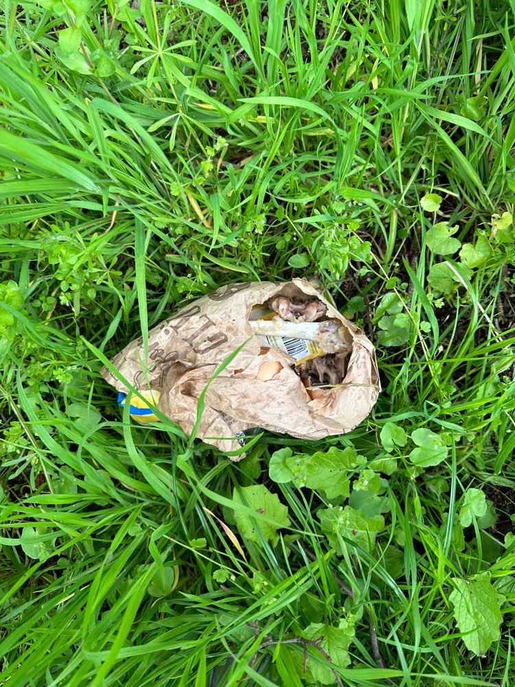 Giftköder-Knochen und Essensreste-Profilbild