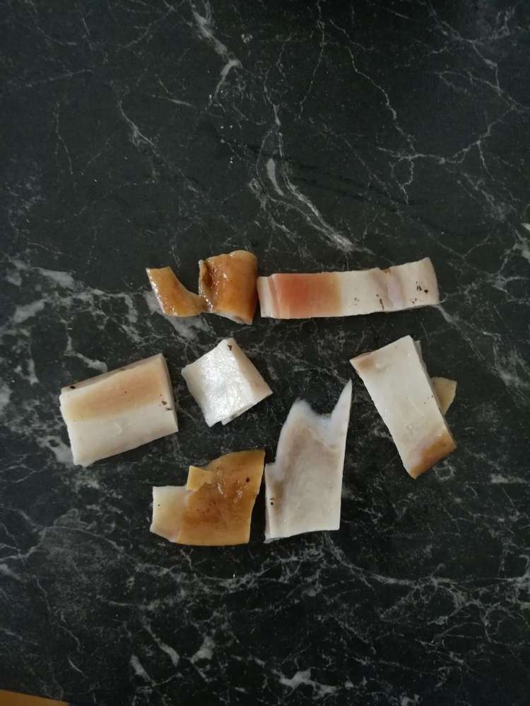 Giftköder-Potentielle Giftköder entdeckt-Profilbild