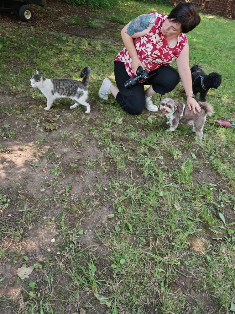 Hundetreffen-Hundetreffen in Arnshaugk (Bollis)-Profilbild