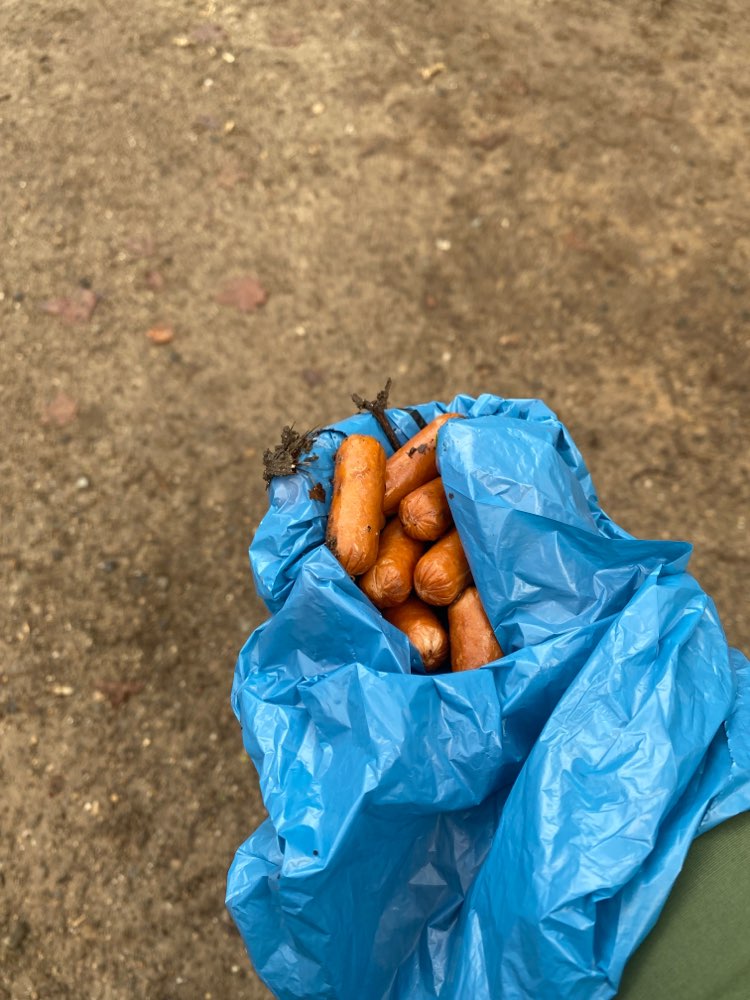 Giftköder-Volksgarten Giftköder Würstchen-Profilbild