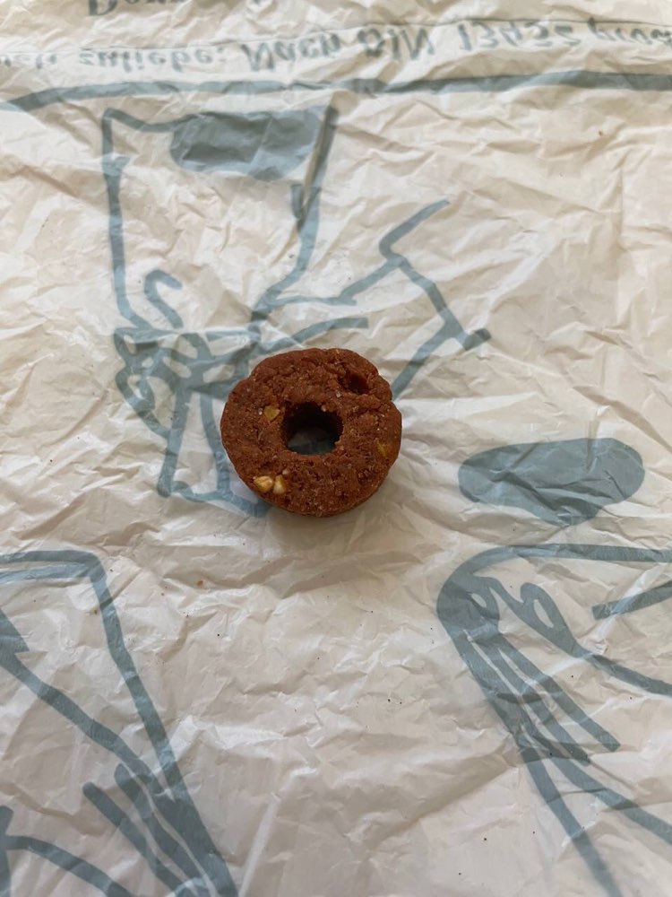 Giftköder-Hundefutter hinterher geworfen-Profilbild