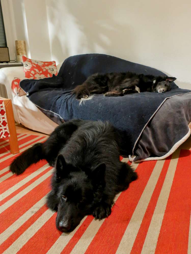 Anti-Wettbewerb Banner