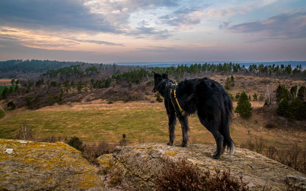 In Ruhe die Aussicht genießen Banner