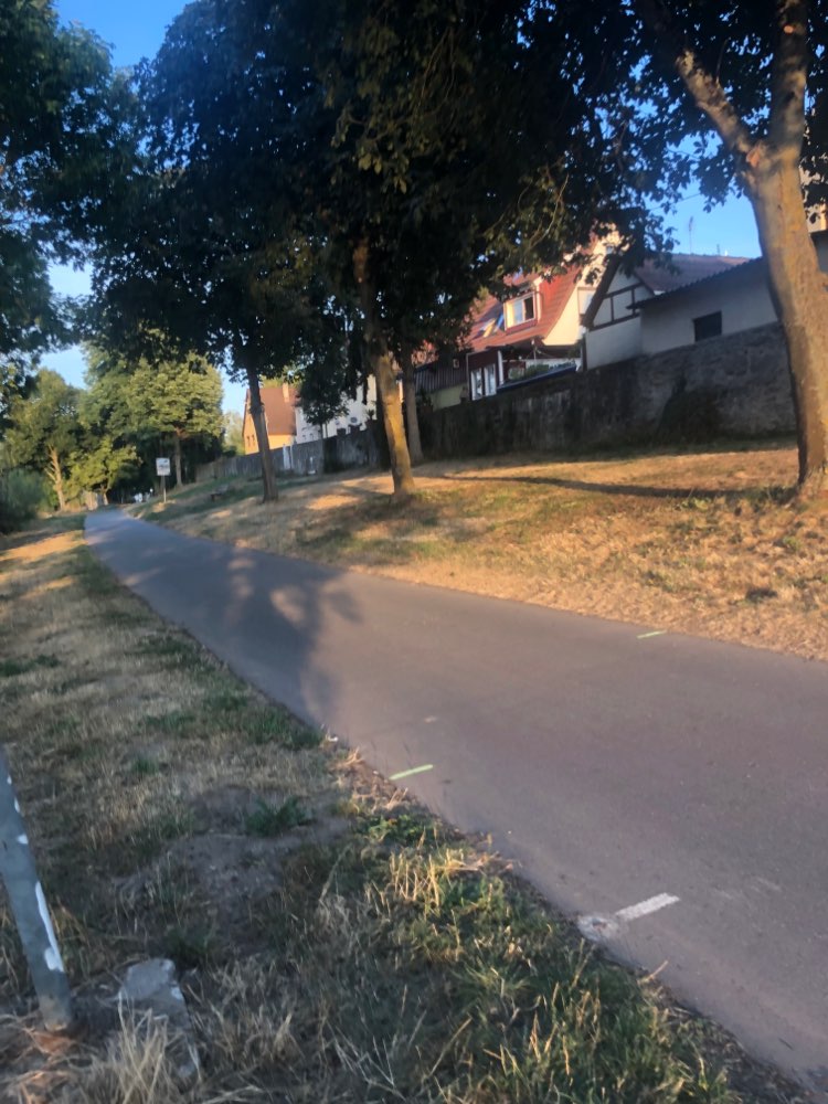 Giftköder-ACHTUNG Gift-Profilbild