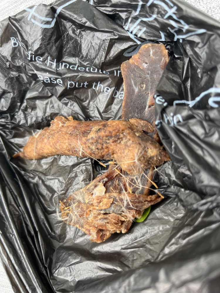 Giftköder-Verdächtig verteilte Fleischstücke-Profilbild