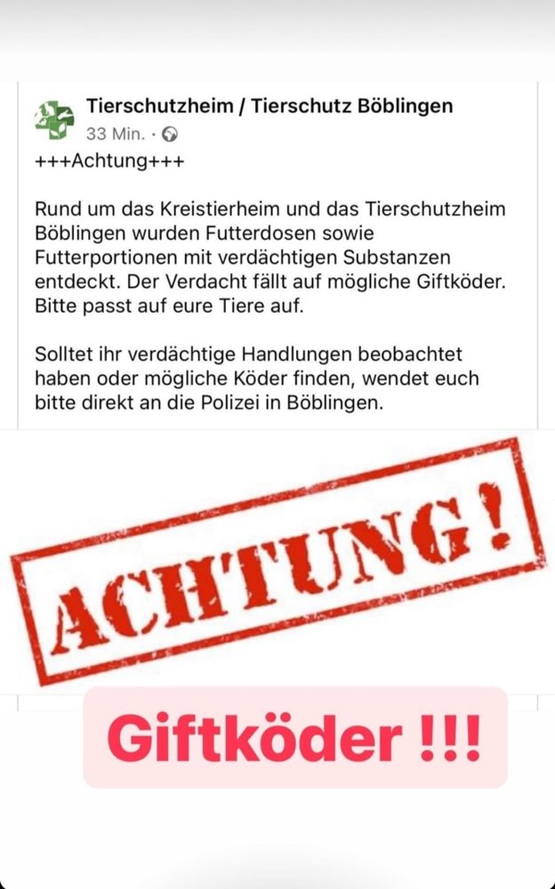 Giftköder-Mögliche Giftköder-Profilbild