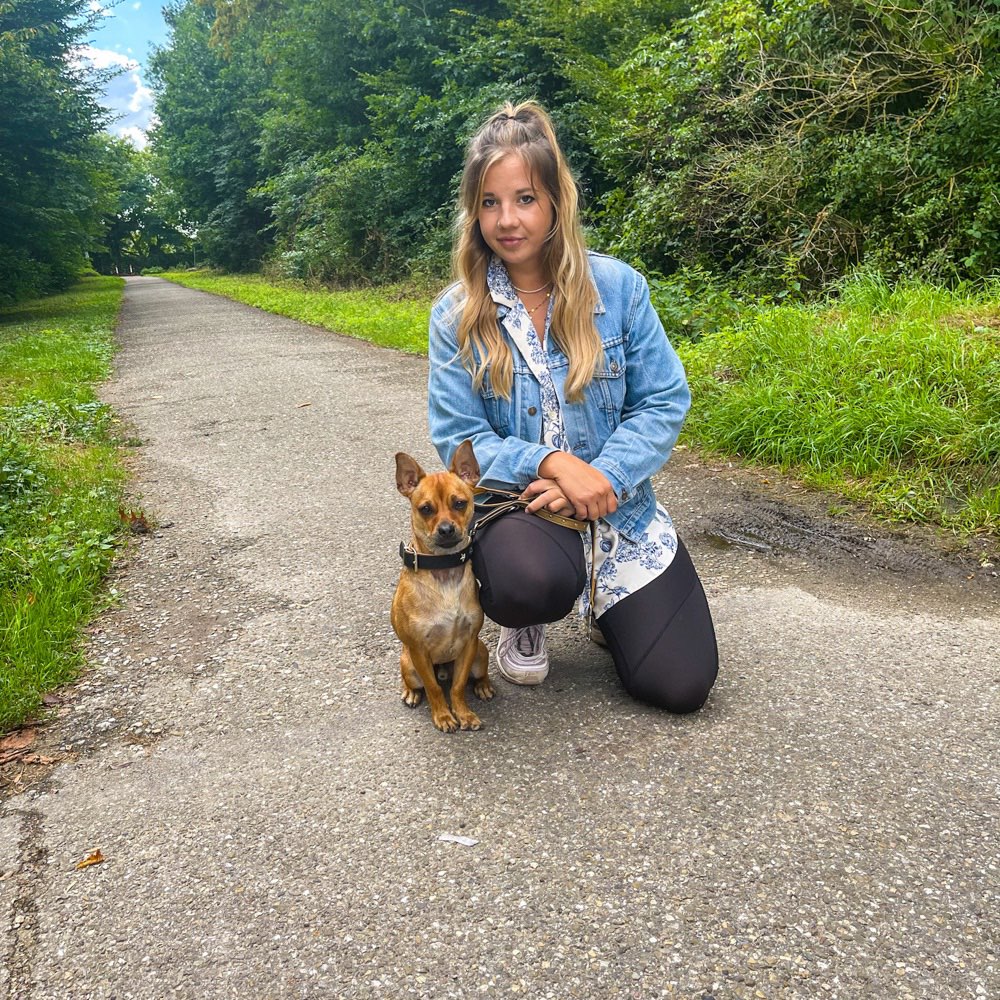 Hundetreffen-Hundebegegnungen üben-Profilbild