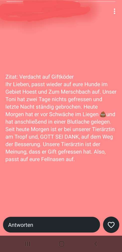 Giftköder-Gift!-Profilbild