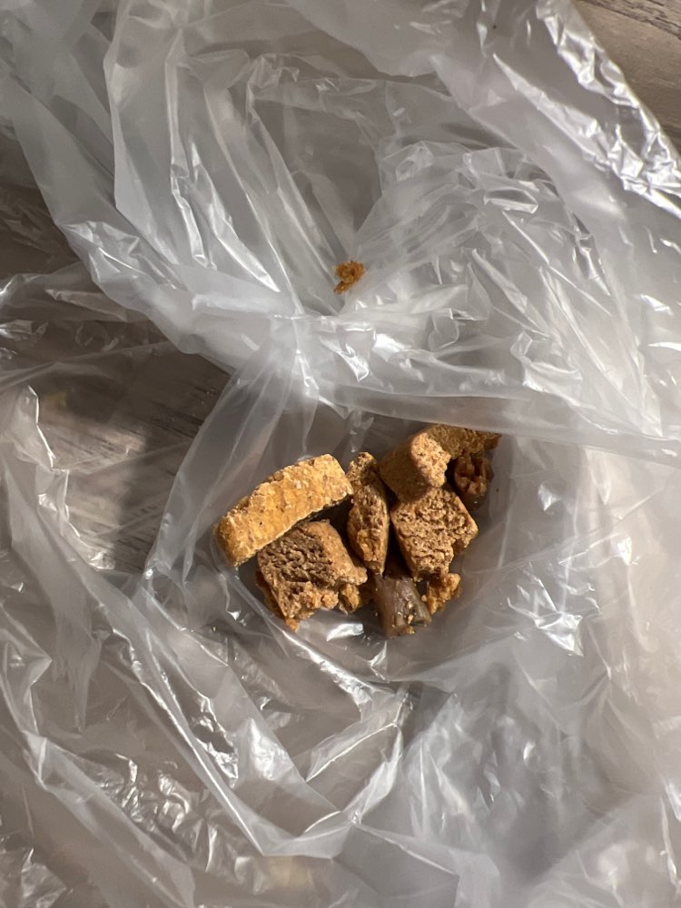 Giftköder-merkwürdige Leckerlis-Profilbild